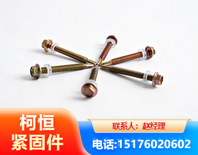 河池六角钻尾丝